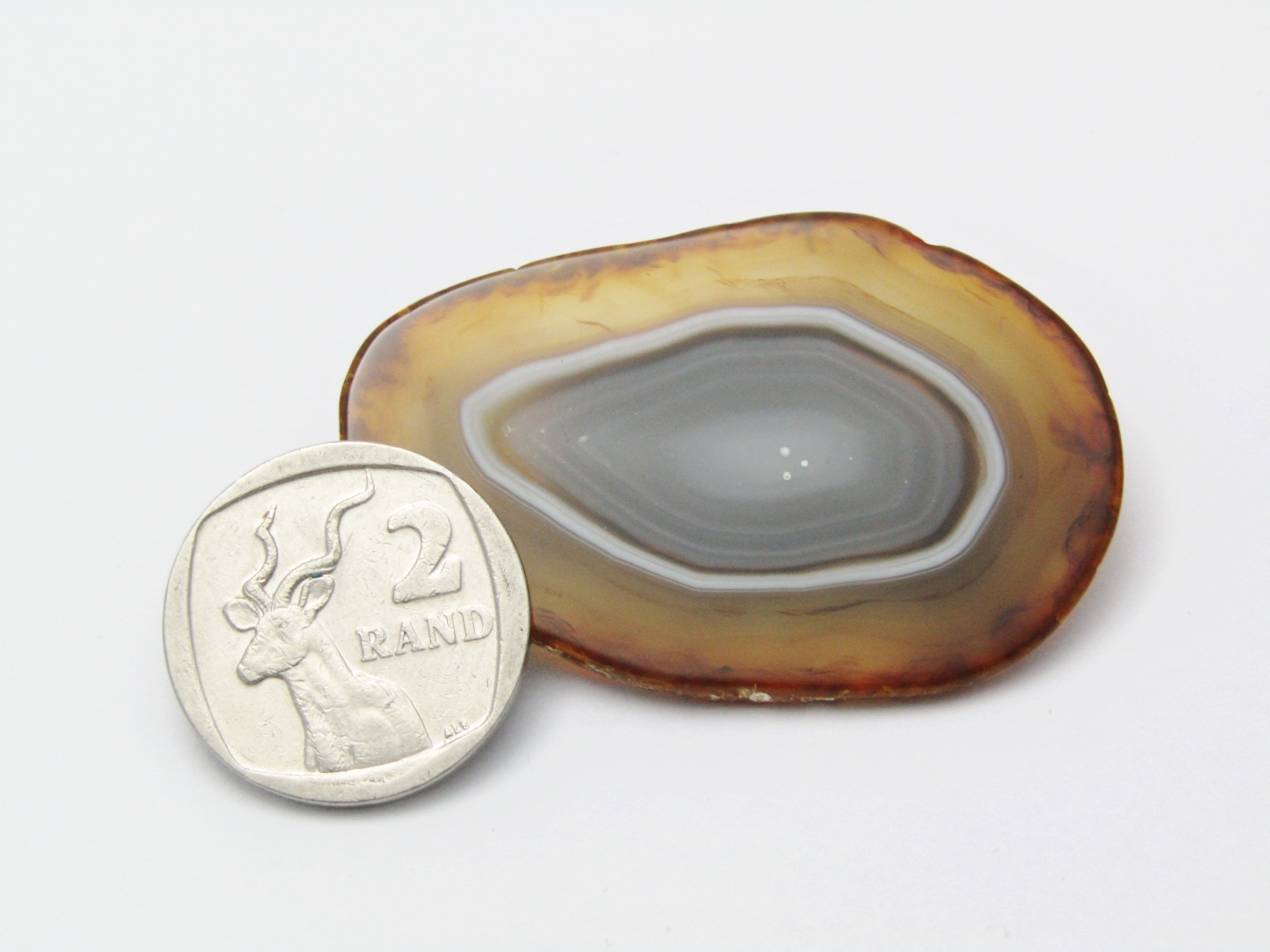A Beautiful Agate Stone Costume Brooch With a Rolled Gold Backing