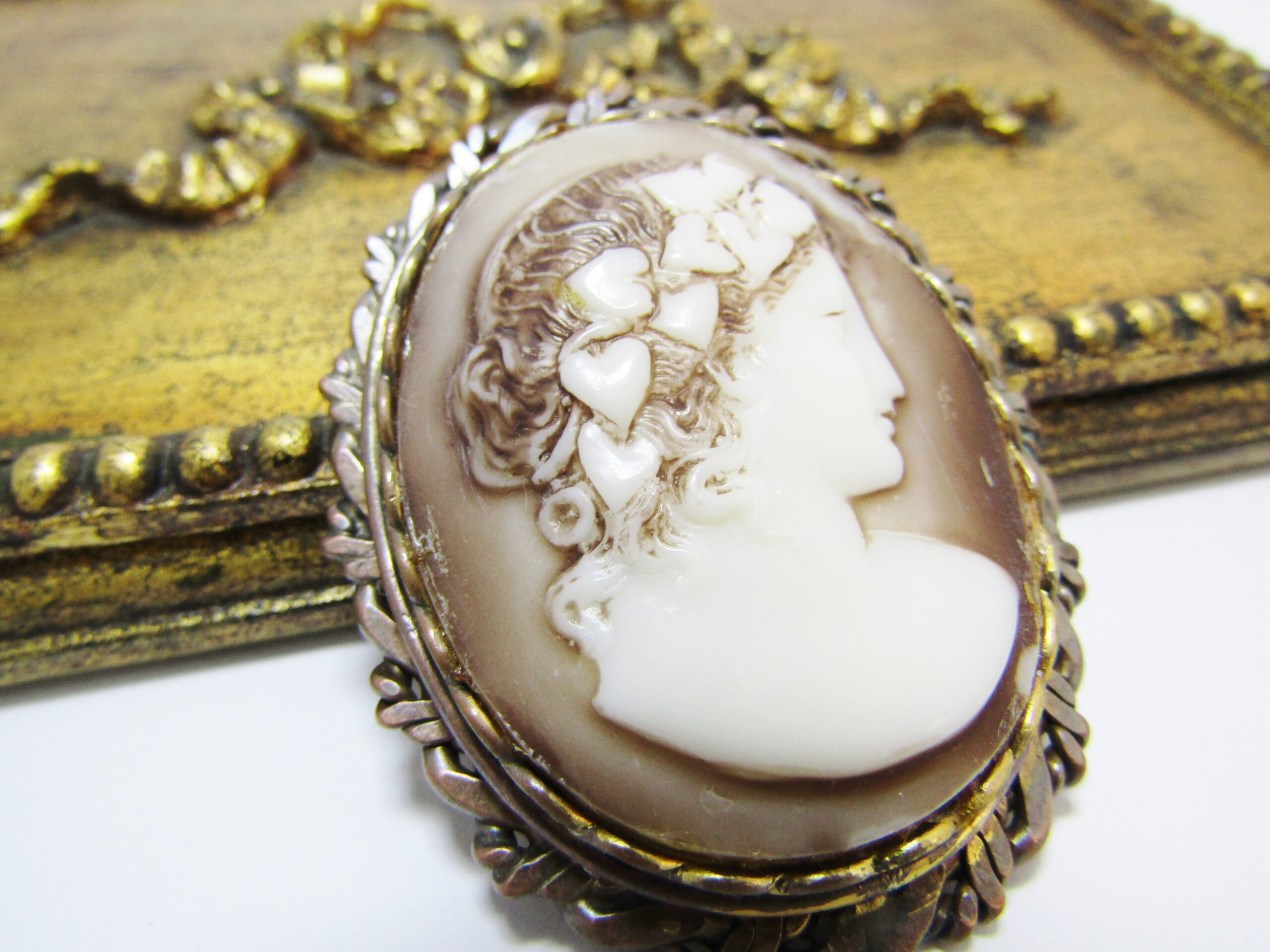 Gorgeous Large Acrylic Cameo With a Copper Frame