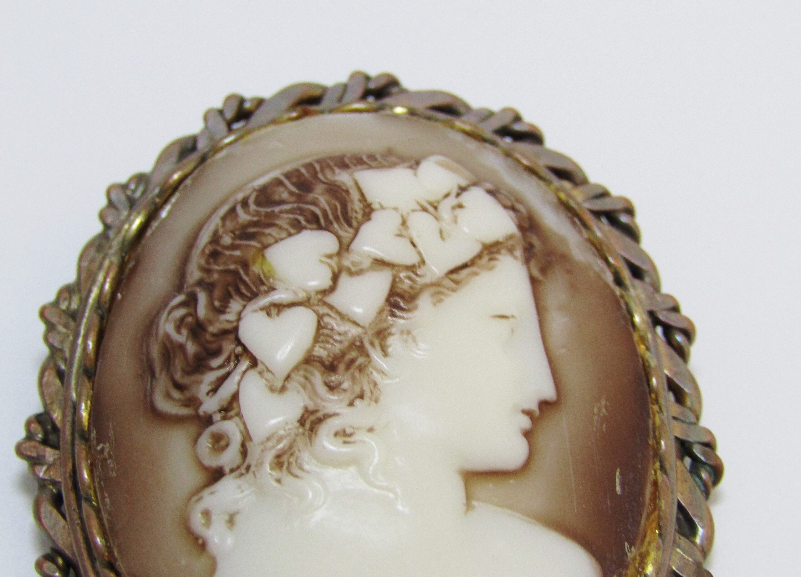Gorgeous Large Acrylic Cameo With a Copper Frame