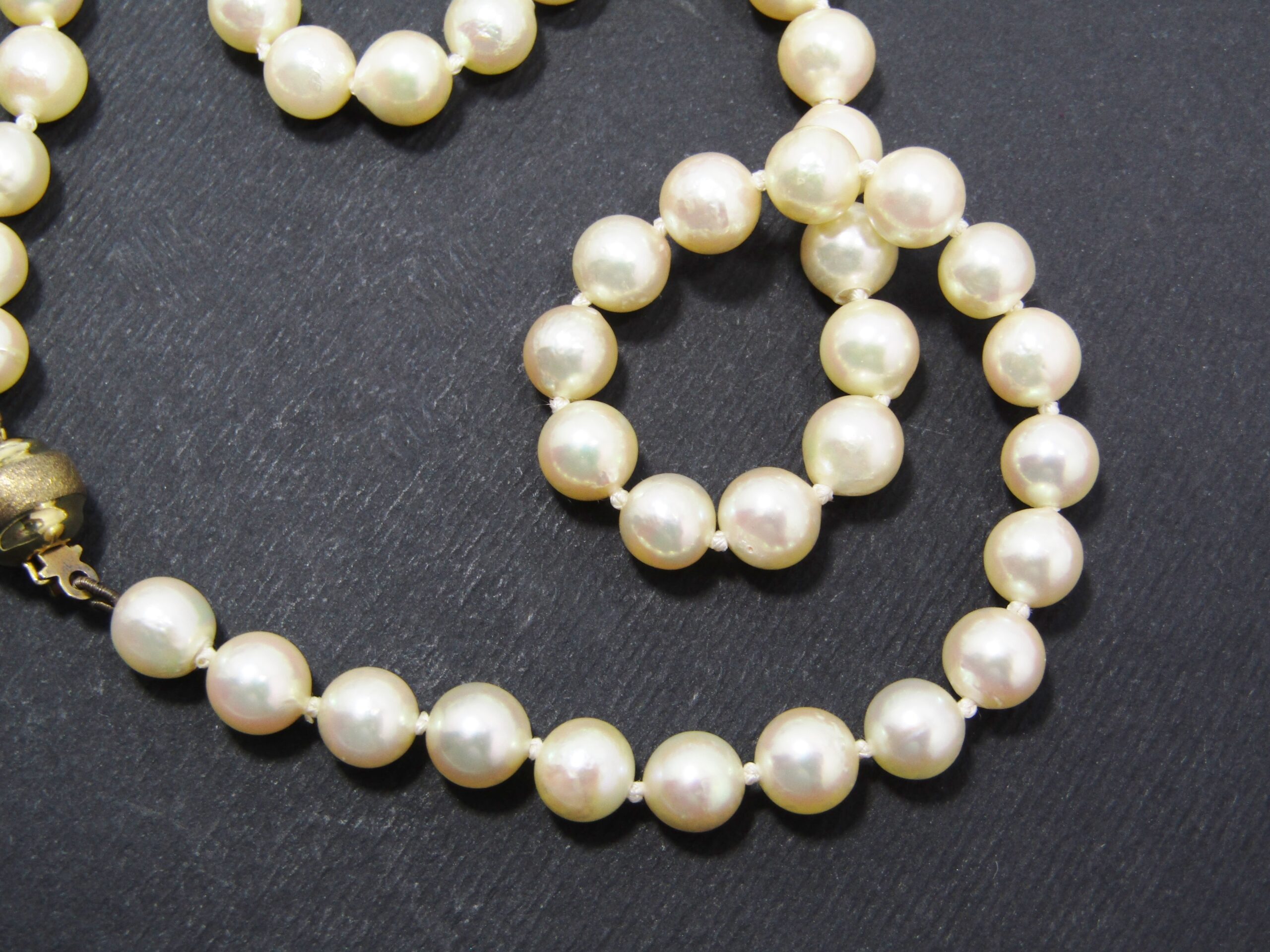 Beautiful Sea Cultured Pearl Necklace with 9CT Clasp