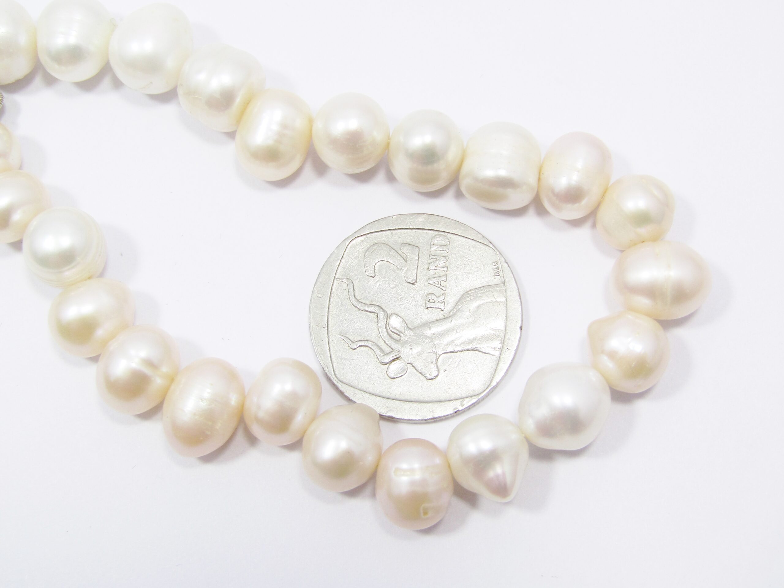 A Lovely Broad Fresh Water Pearl Bracelet with a Sterling Silver Clasp.