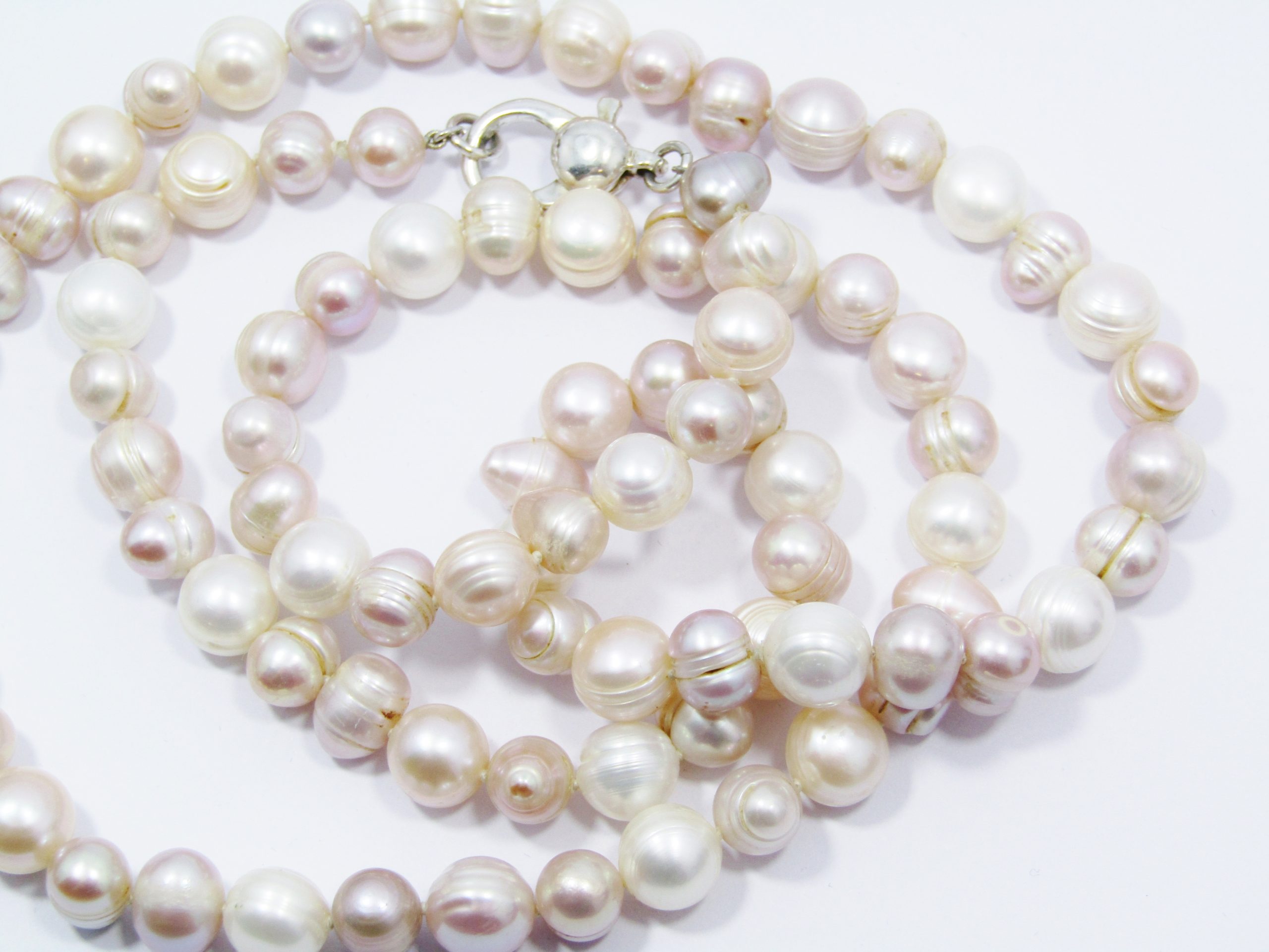 A Gorgeous Long String of Fresh Water Pearls With a Huge Sterling Silver Clasp
