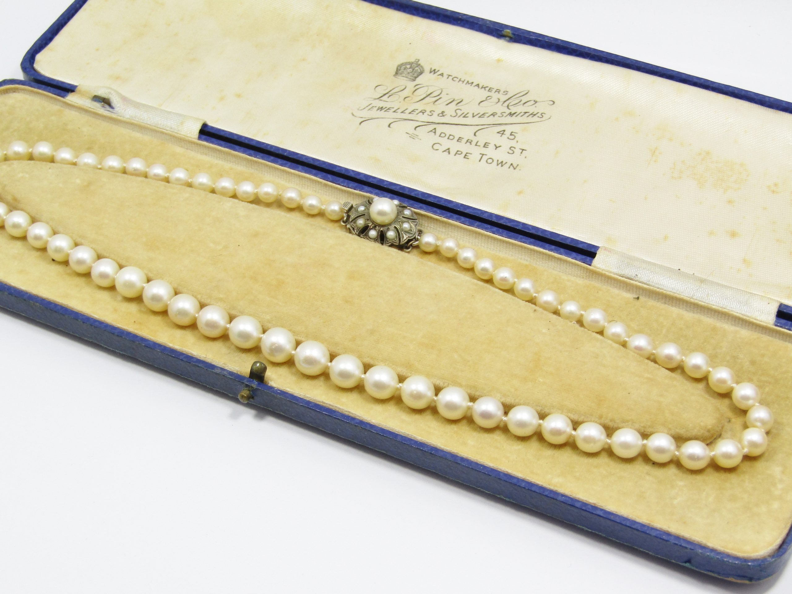 Exquisite! Vintage Sea Cultured Graduated Pearl Necklace in Box