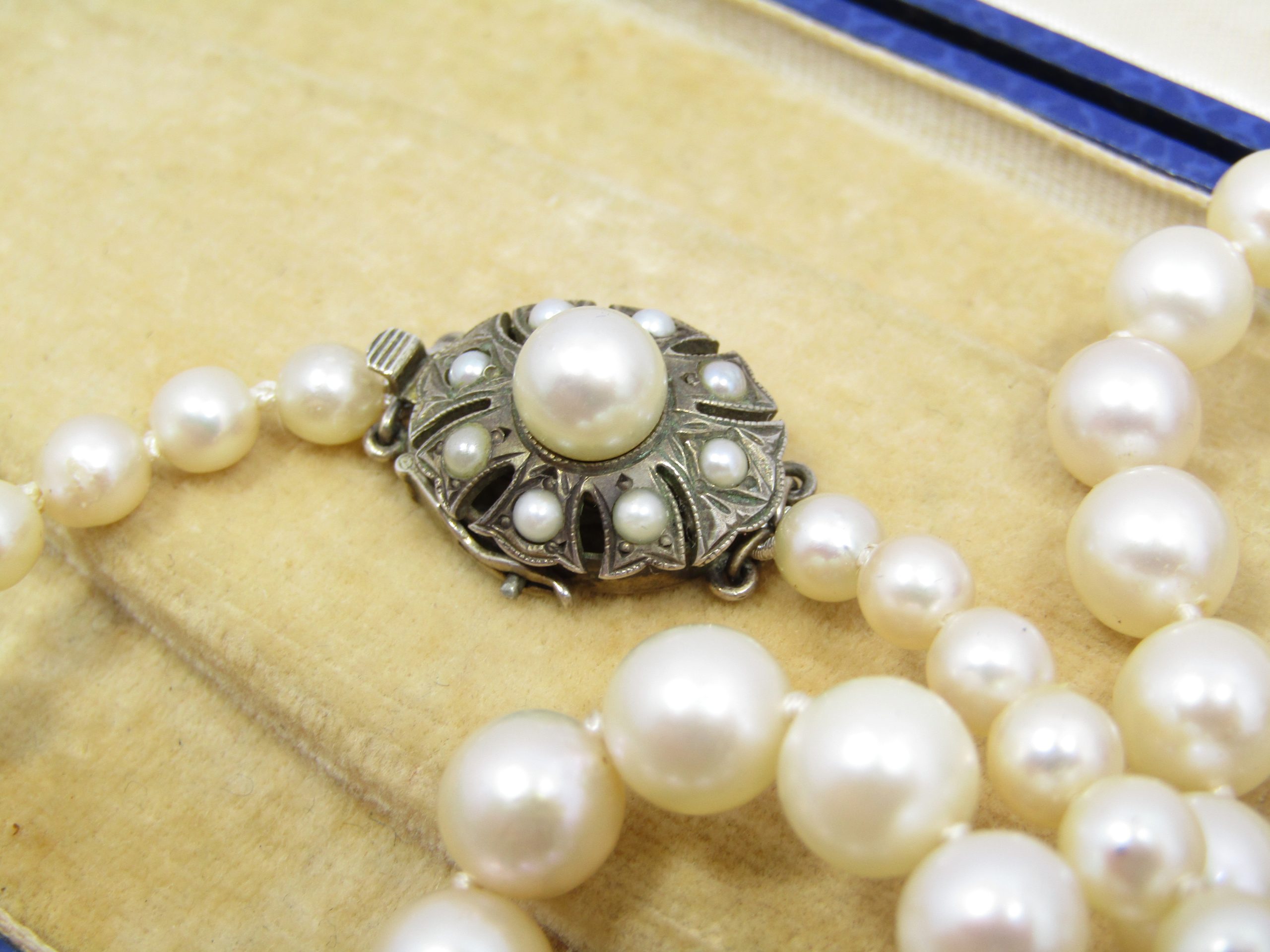 Exquisite! Vintage Sea Cultured Graduated Pearl Necklace in Box