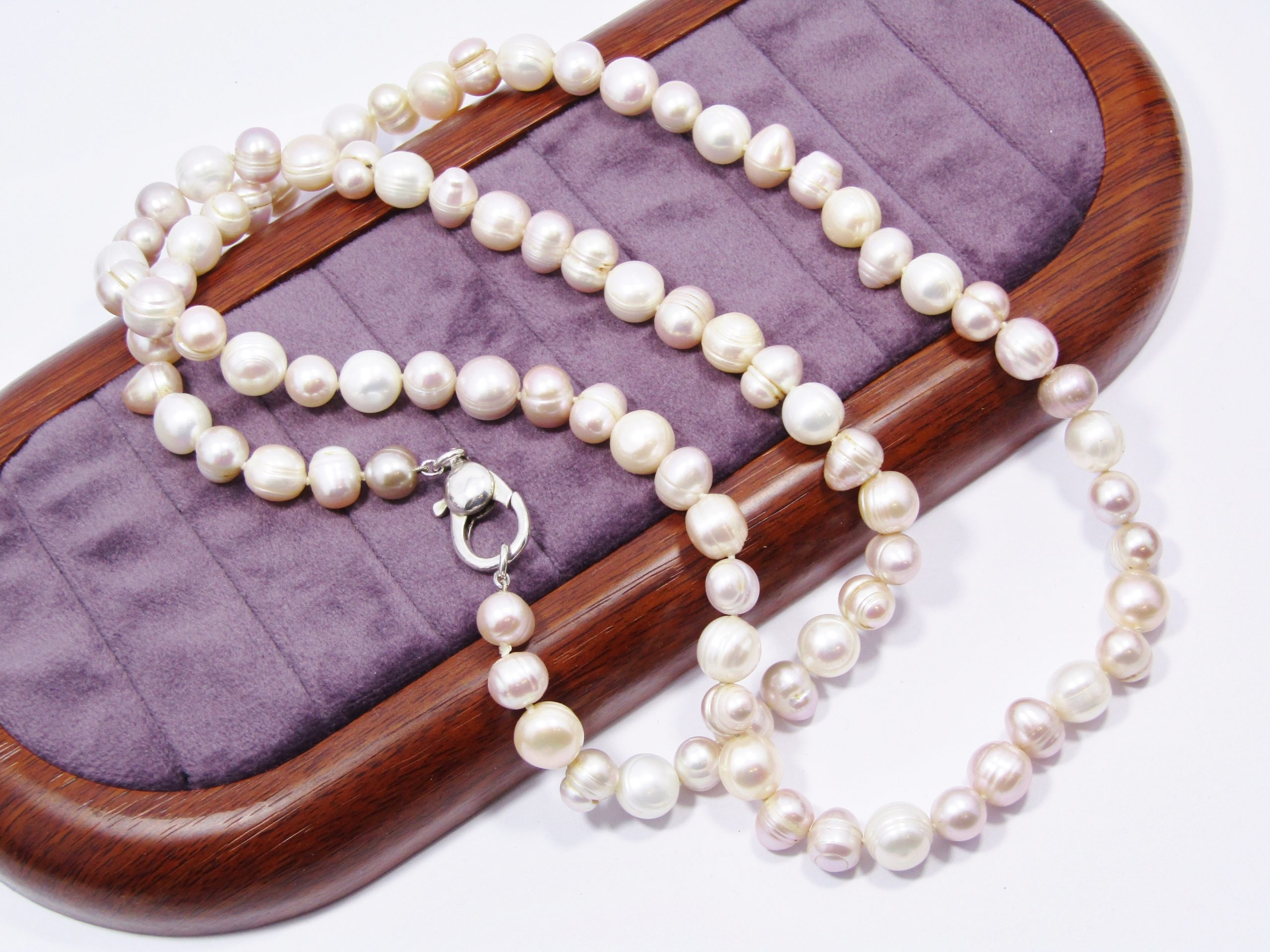 Gorgeous Long String of Fresh Water Pearls with Huge Silver Clasp