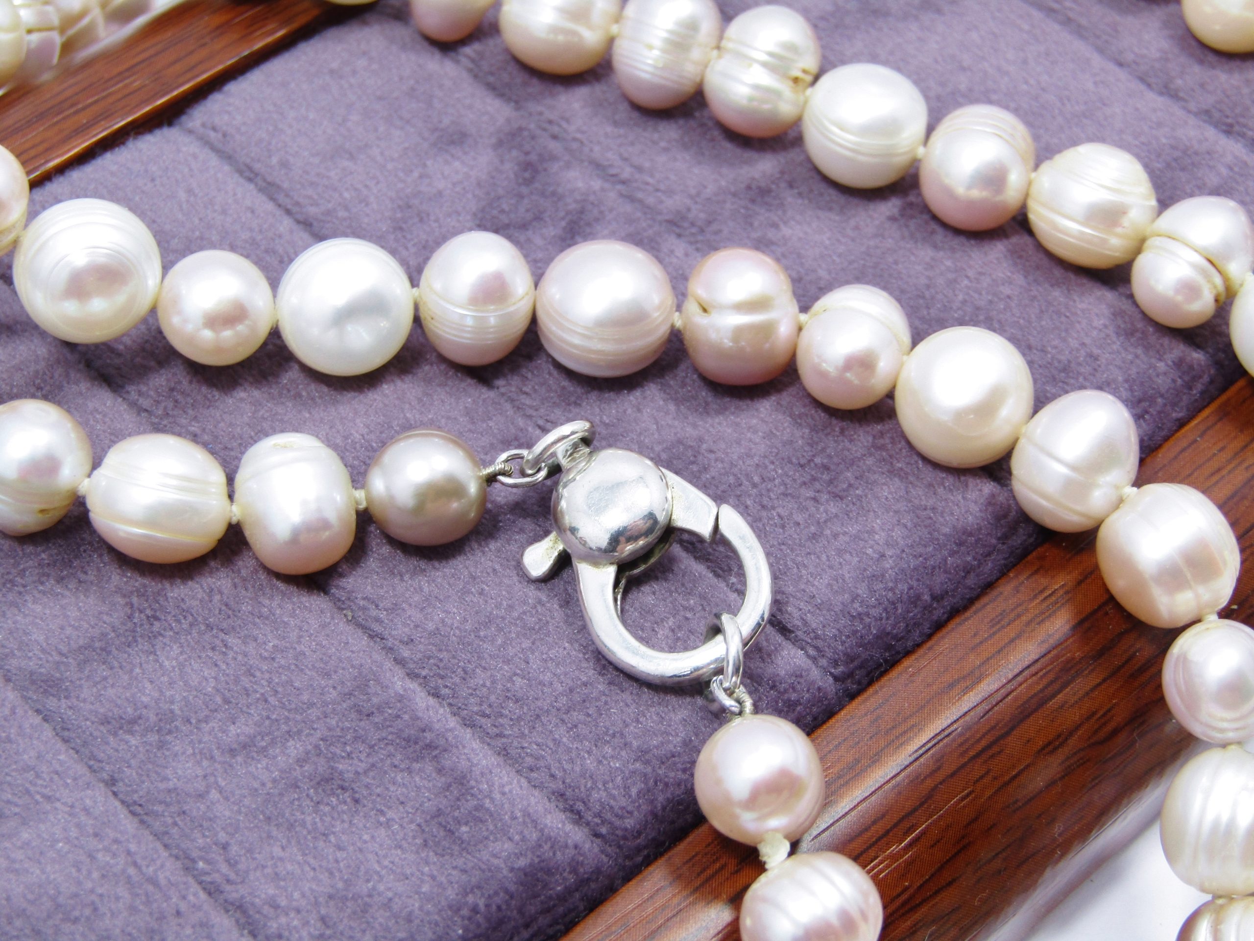 Gorgeous Long String of Fresh Water Pearls with Huge Silver Clasp